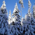 In Nahe Skigebiet Petzen Neuhaus (Carinthia)