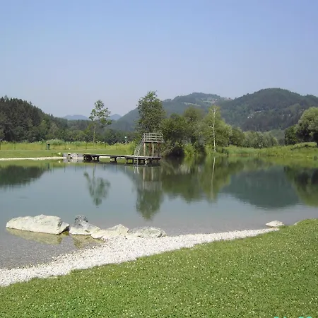 Appartement In Nahe Skigebiet Petzen Neuhaus (Carinthia)