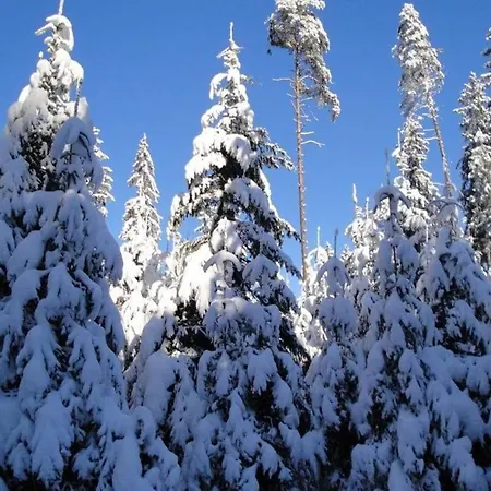 In Nahe Skigebiet Petzen Neuhaus (Carinthia)