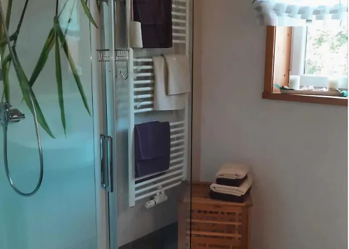 In Nahe Skigebiet Petzen Neuhaus (Carinthia)