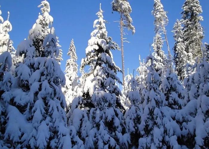 In Nahe Skigebiet Petzen Neuhaus (Carinthia)