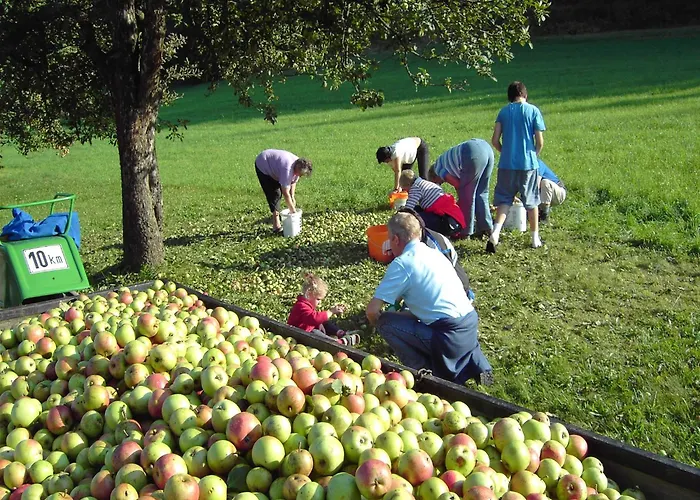 In Nahe Skigebiet Petzen Neuhaus (Carinthia)